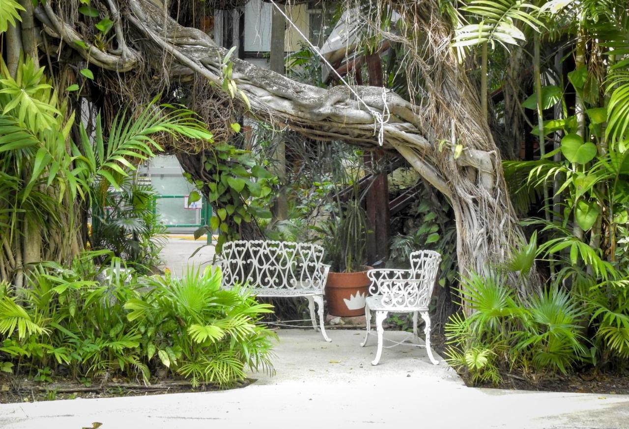 Eco-Hotel El Rey Del Caribe Cancún Exteriér fotografie