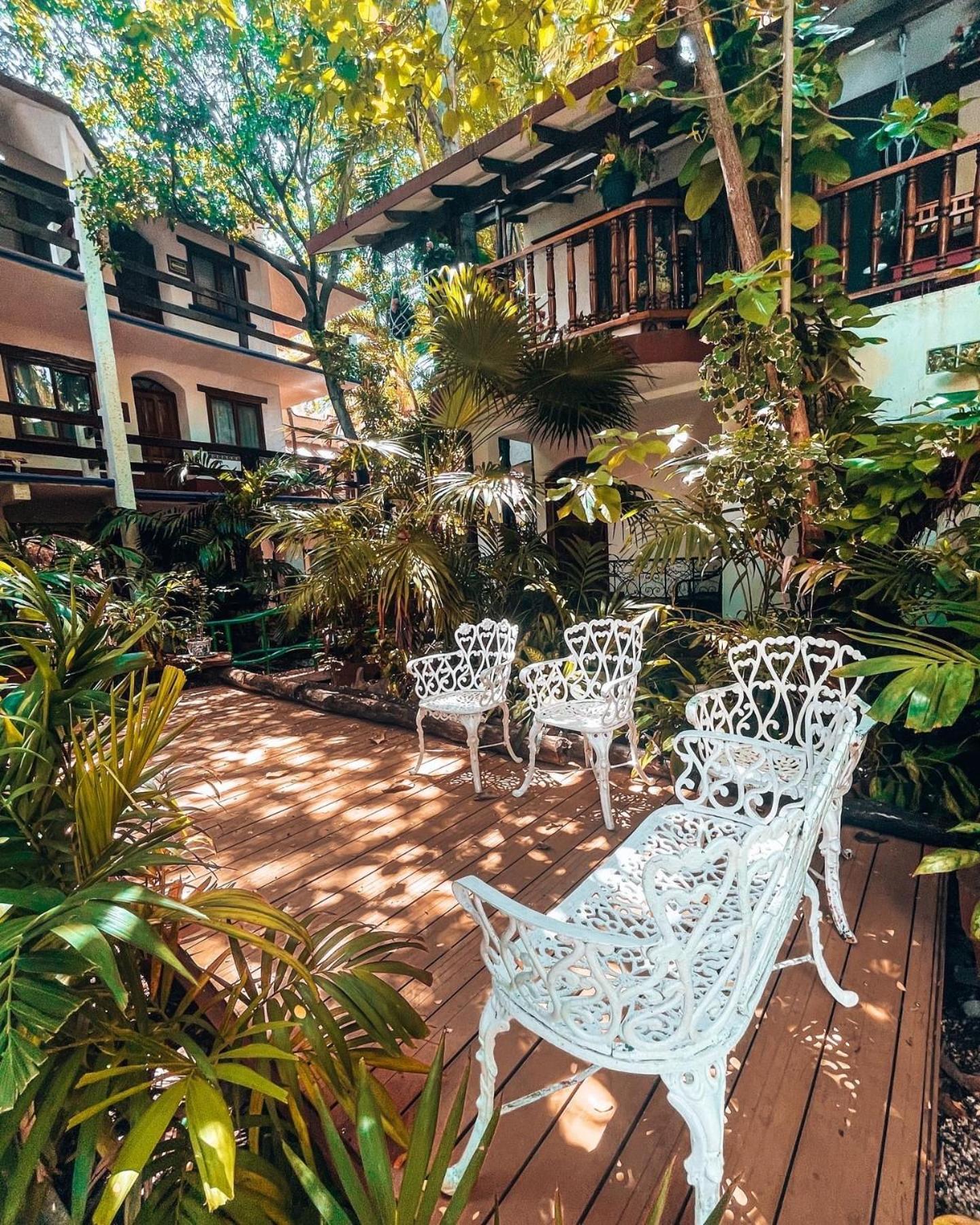 Eco-Hotel El Rey Del Caribe Cancún Exteriér fotografie