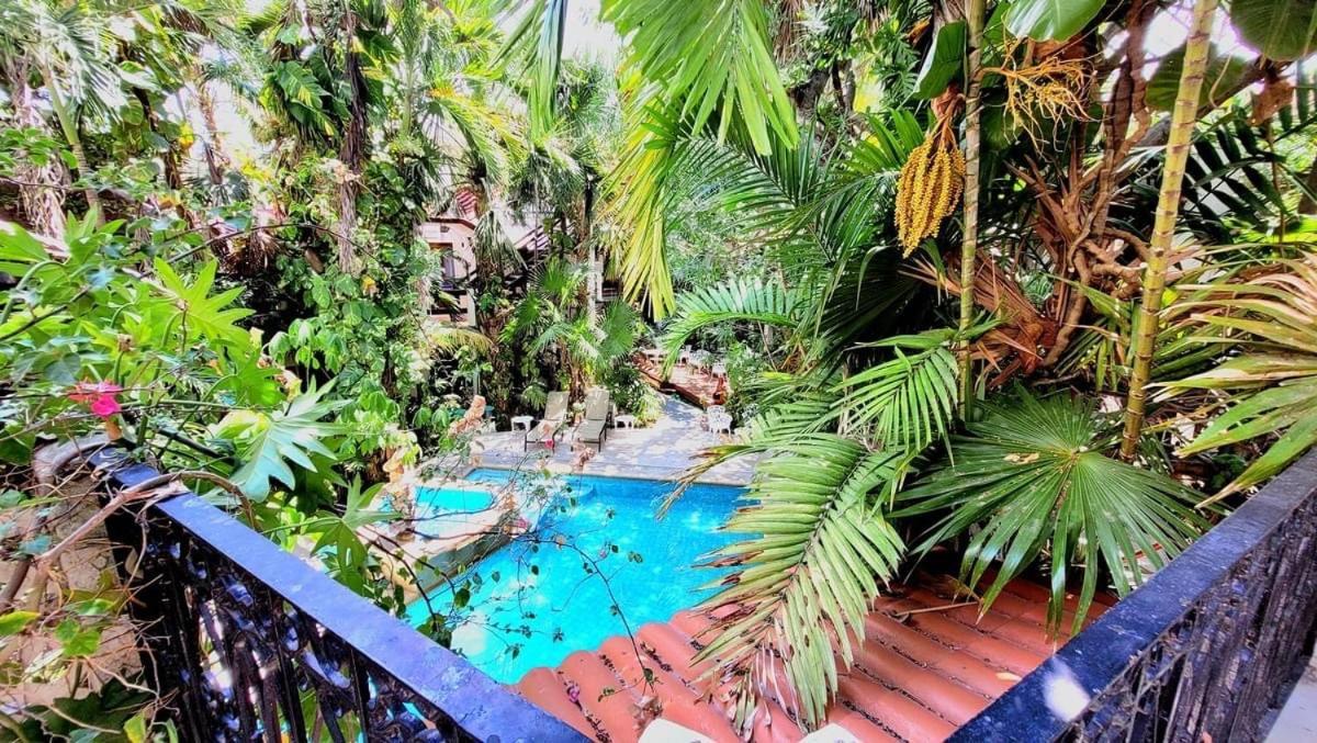 Eco-Hotel El Rey Del Caribe Cancún Exteriér fotografie